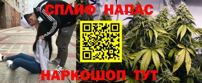 бошки Тула