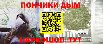 индика Тулун