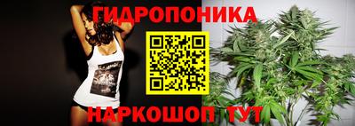 индика Тулун
