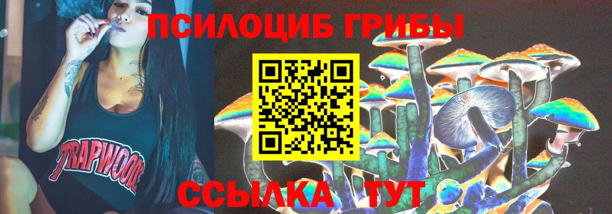 Псилоцибиновые грибы мицелий  Вход с VPN  Псилоцибиновые грибы Cubensis  Миллерово 